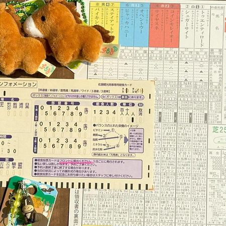 安尼克斯酒店 Shinhidaka 外观 照片