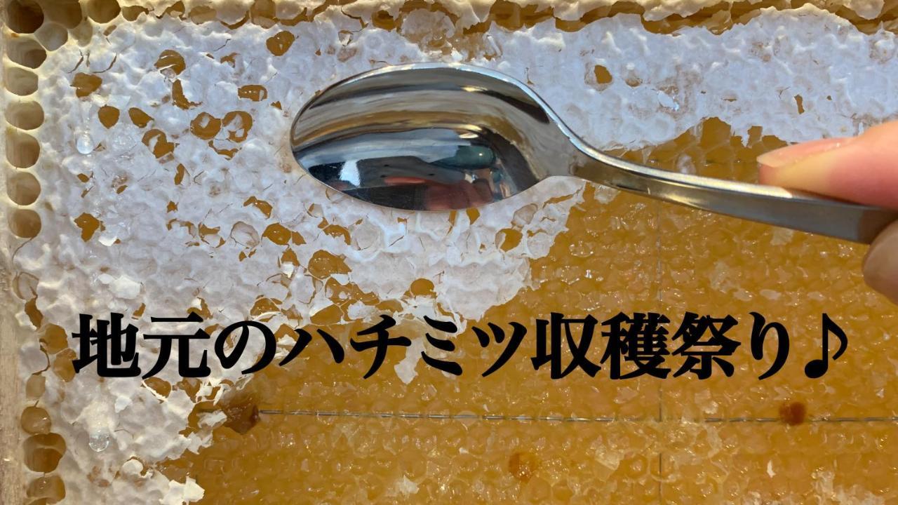 安尼克斯酒店 新日高 外观 照片